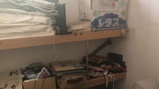 掃除の情報