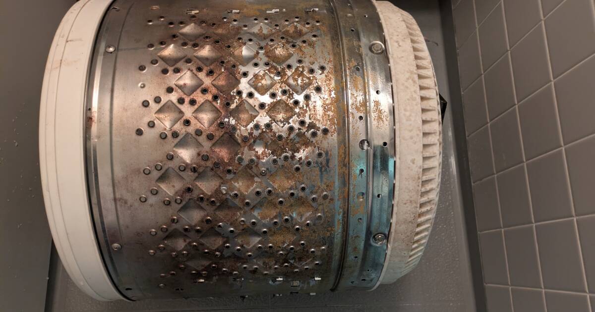 洗濯機内部の黒い汚れ