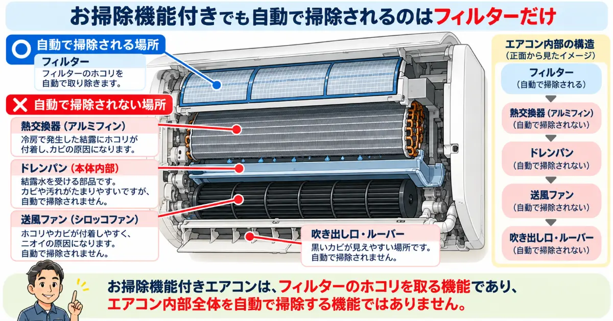 お掃除機能付きエアコンで自動掃除されるフィルターと、自動で掃除されない熱交換器、ドレンパン、送風ファン、吹き出し口の違いを示した図解