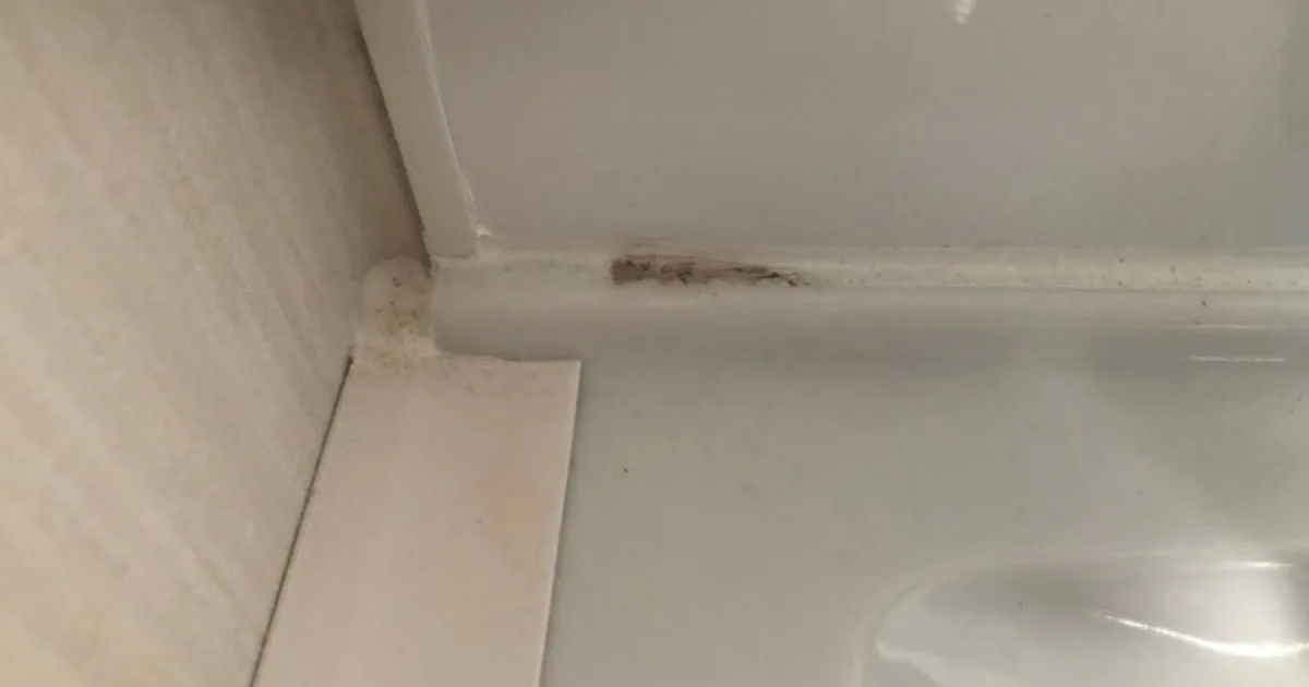 洗面台まわりのゴムパッキンに発生した黒カビ